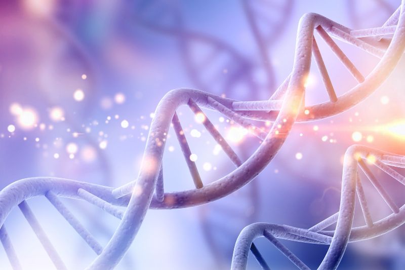 Salmon DNA PDRN